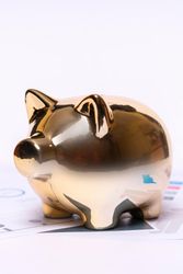 Golden piggy bank placed on top of financial documents and charts