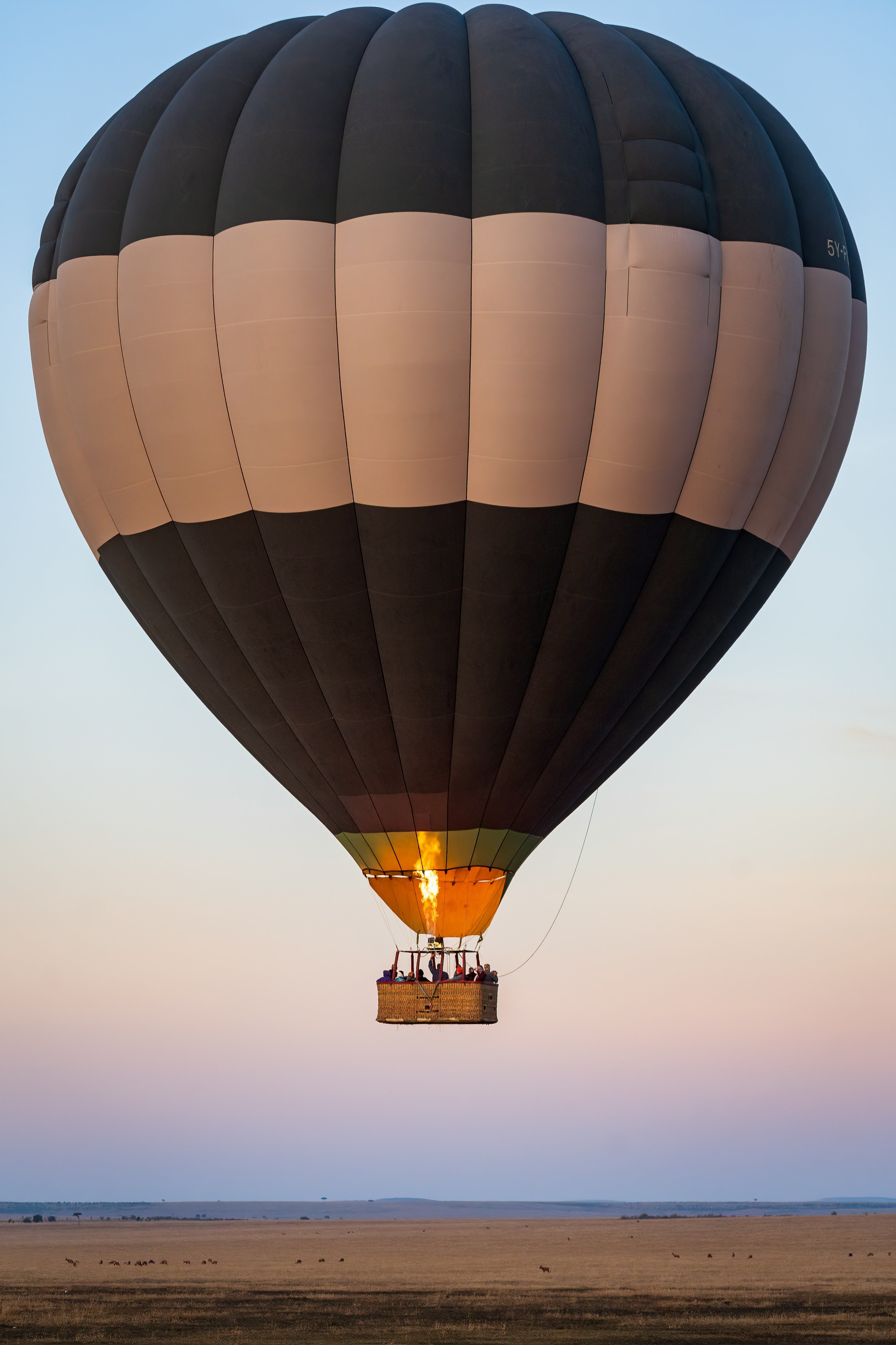 Hot air balloon flying over a plain at sunrise or sunset