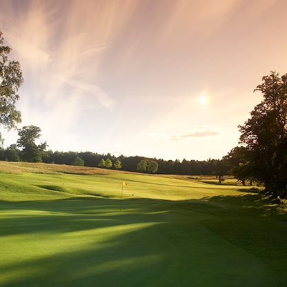 Golf course green at sunset with flagstick and surrounding trees