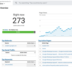 Google Analytics real-time overview showing active users on site, traffic source breakdowns, and active pages.