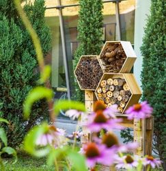 Insect hotel made of hexagonal wooden boxes filled with natural materials, surrounded by flowers and shrubs.