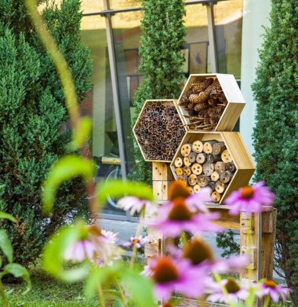 Insect hotel made of hexagonal wooden boxes filled with natural materials, surrounded by flowers and shrubs.