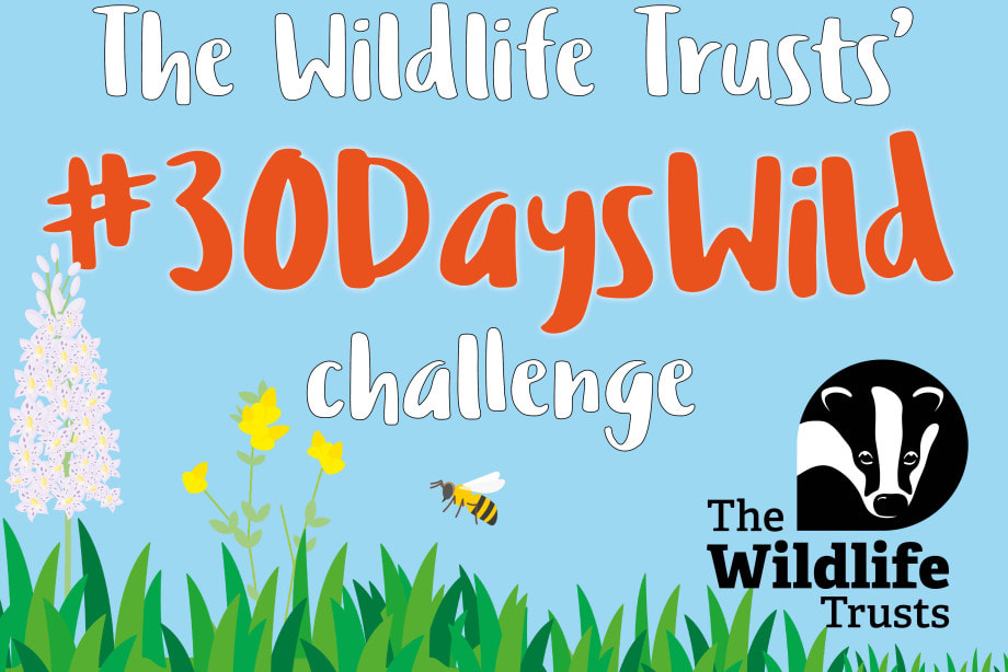 Wildlife Trusts 30 Days Wild