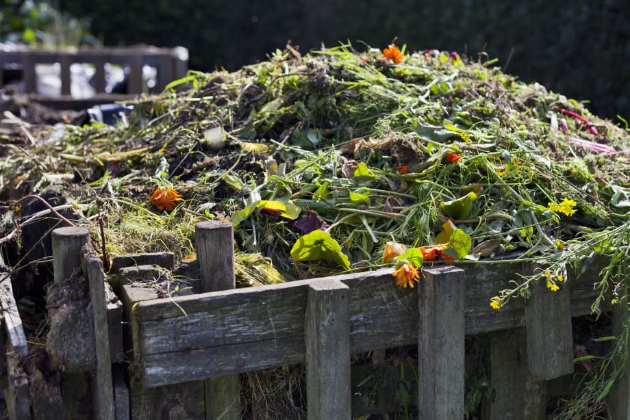 Composting food waste