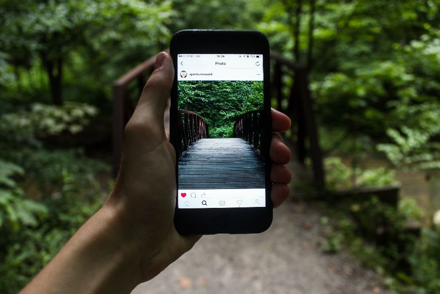 Instagram in forest