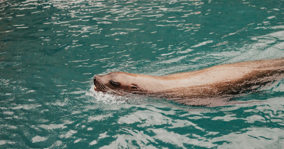 joshua-reddekopp-_X3qm6HMQRo-unsplash