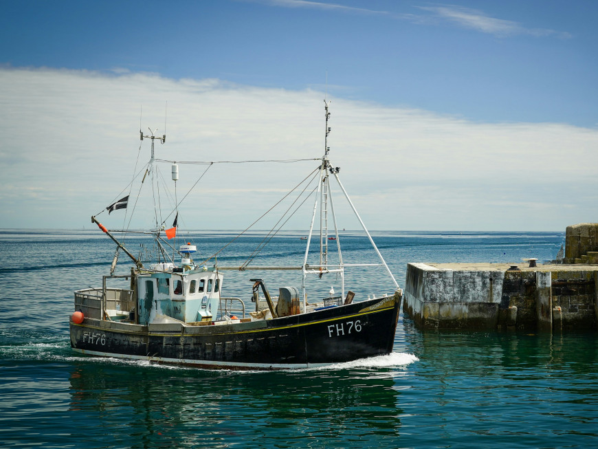 nick-fewings-gEnuJC5oEyo-unsplash