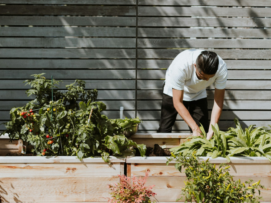 priscilla-du-preez-JCZ2pE-Szpw-unsplash