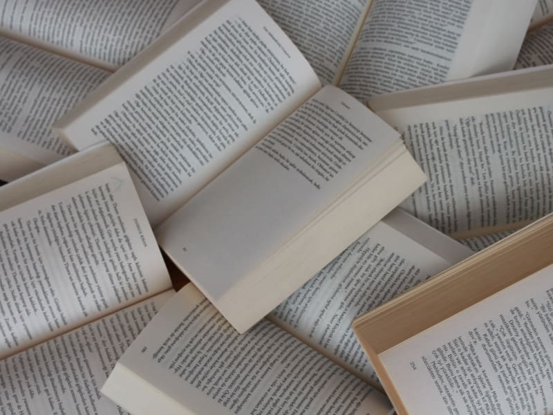 gulfer-ergin-LUGuCtvlk1Q-unsplash (1)