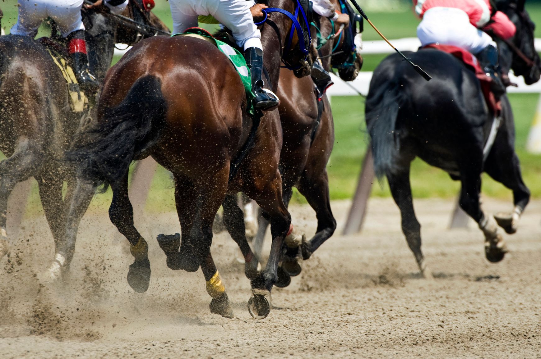 Rear view of racehorses in full stride on a dirt track, with jockeys in colorful silks. Dust rises from the ground as they speed toward the finish line.