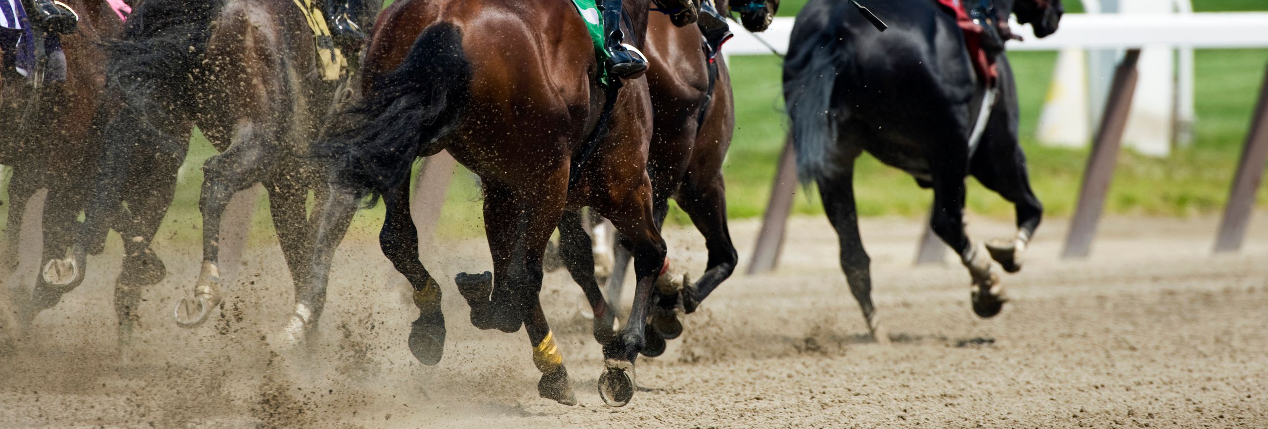 Rear view of racehorses in full stride on a dirt track, with jockeys in colorful silks. Dust rises from the ground as they speed toward the finish line.