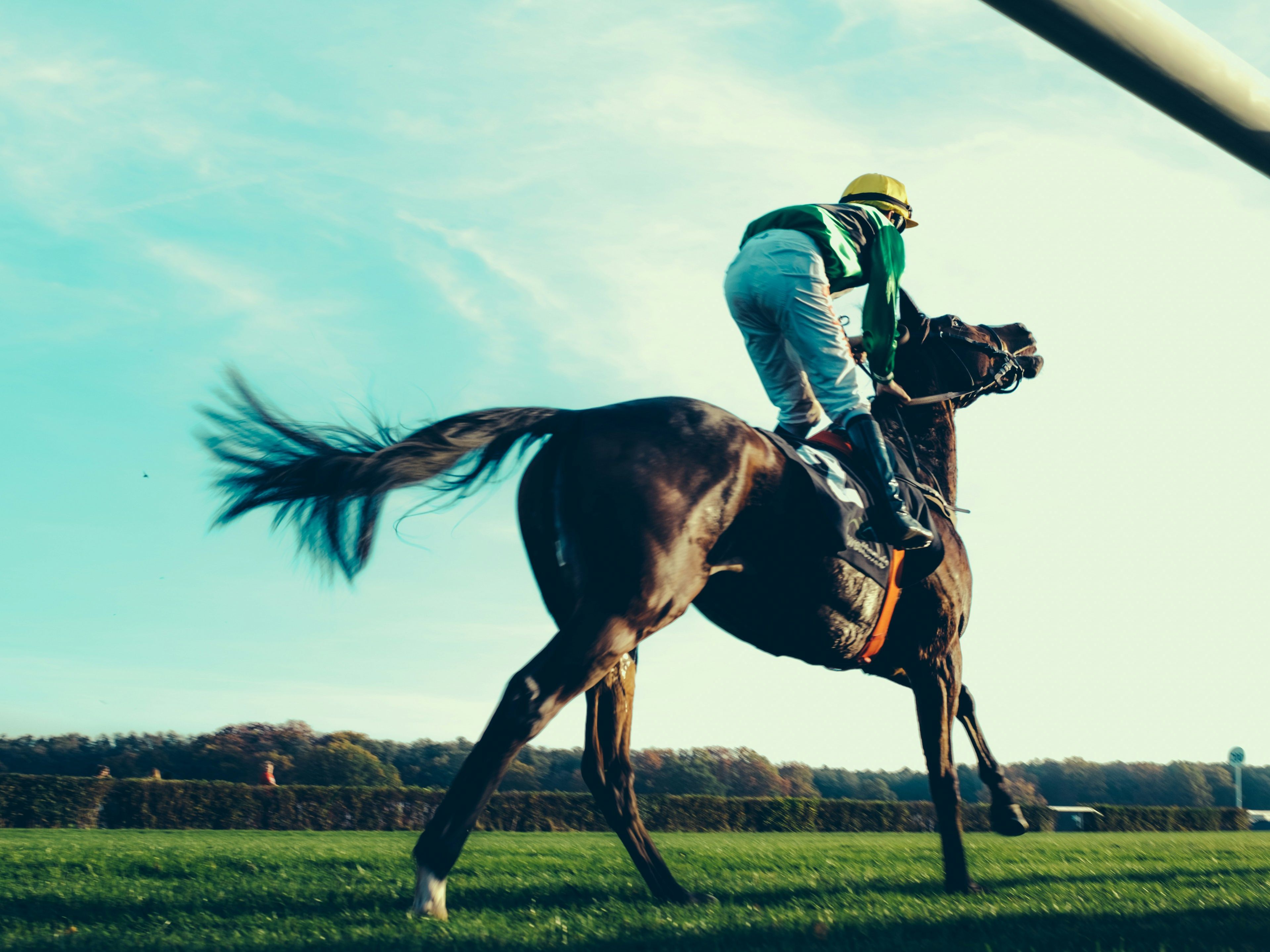 Cheltenham horse racing