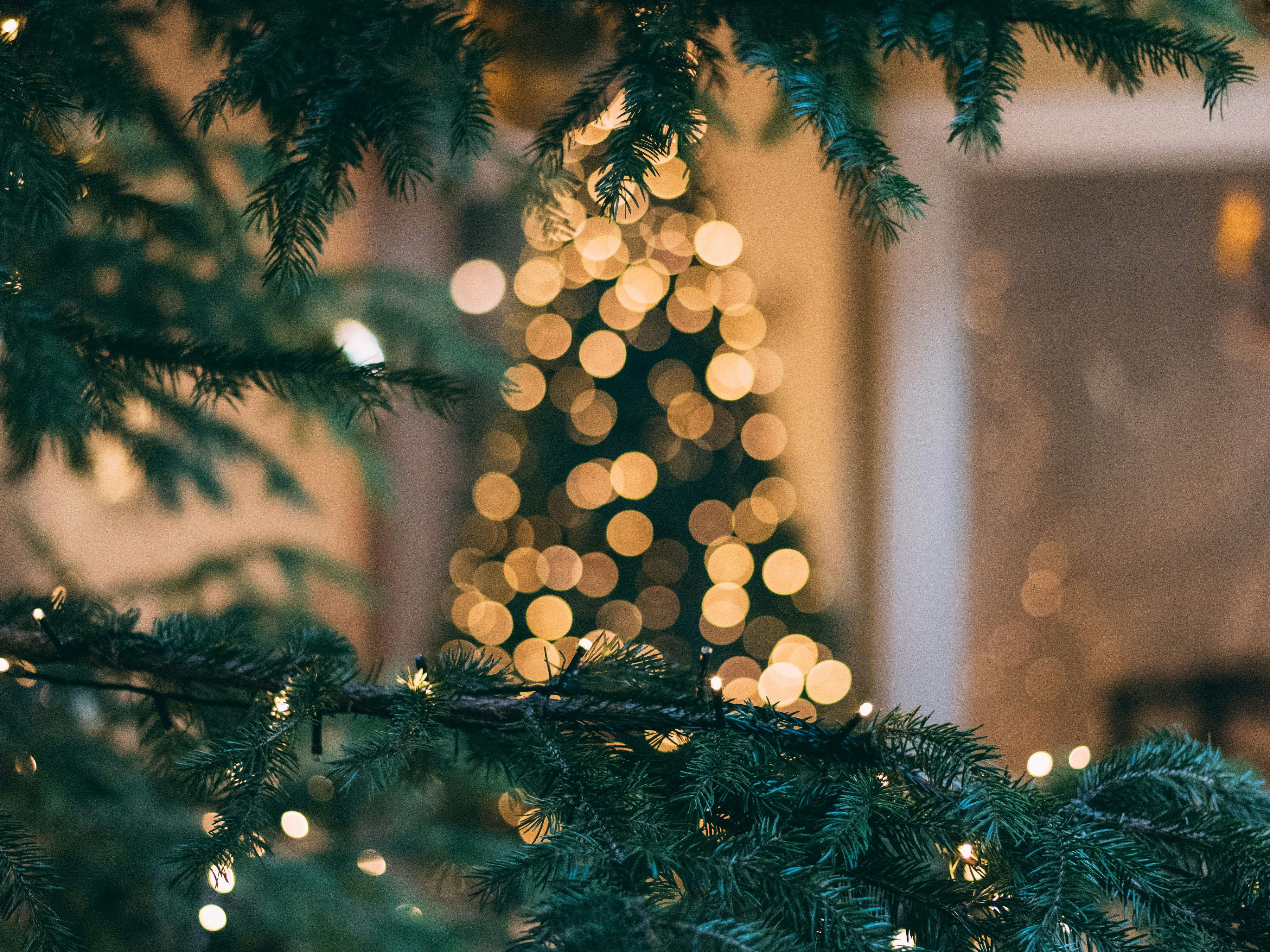 mourad-saadi-ZXbeOqF1NFQ-unsplash