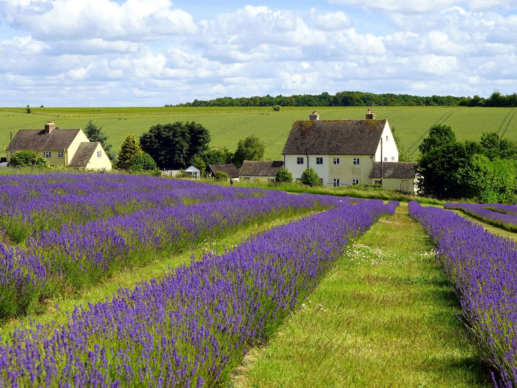 DebbiDworin_Cotswolds