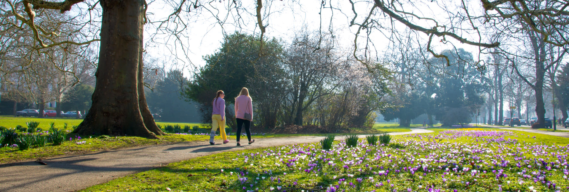 People walking through a park