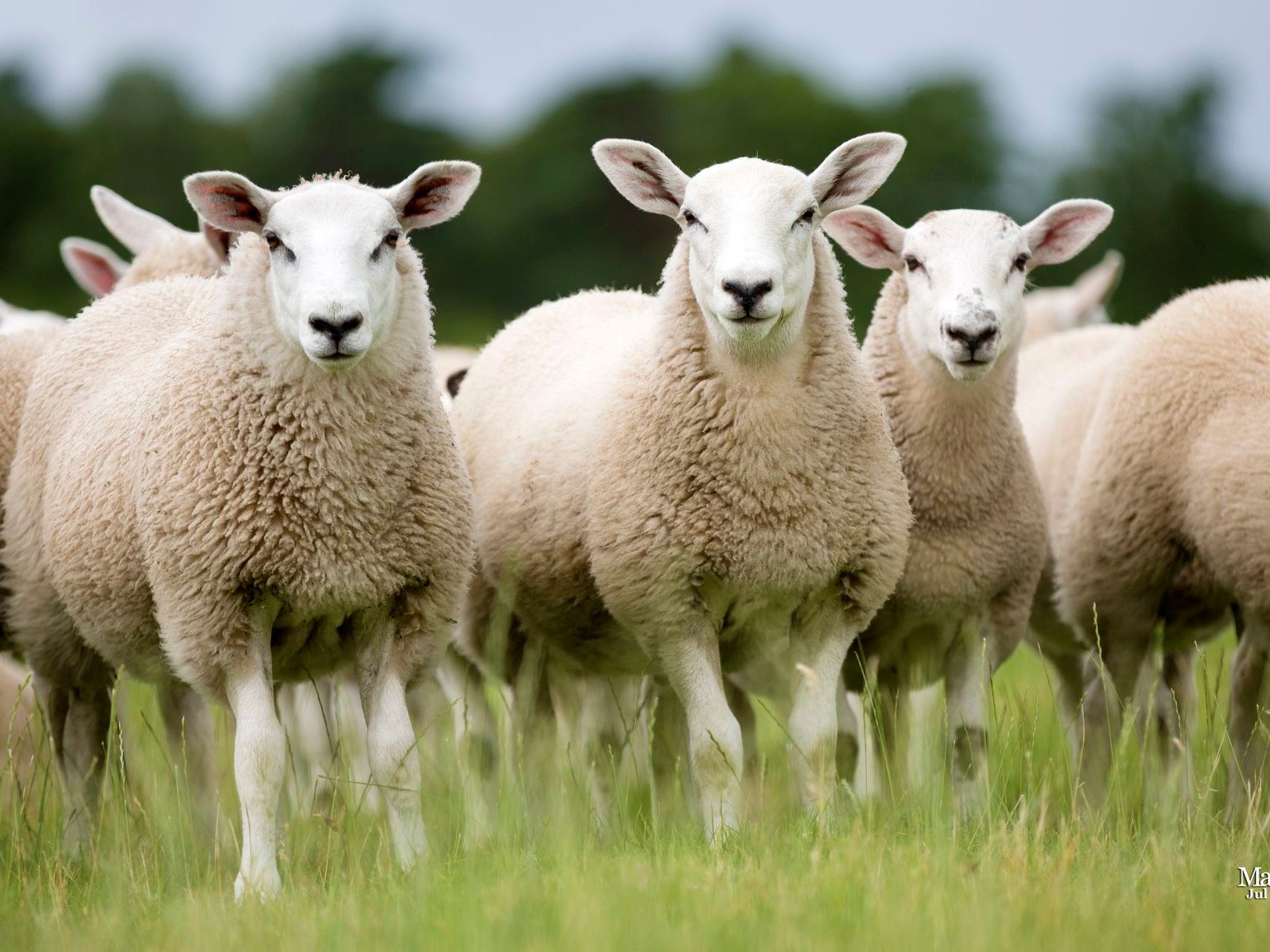 JjuPiZx5oUJwUnLHWobXbJ-1920-80