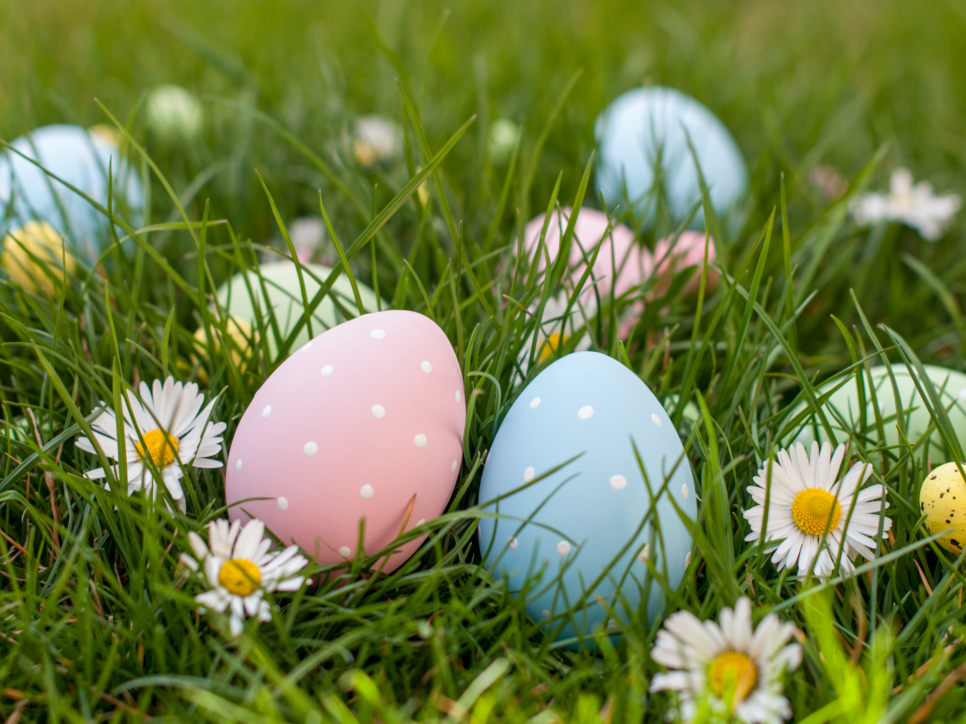 easter-egg-pic-1024x724