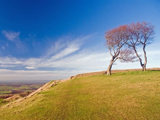 Cleeve Hill Common Ring