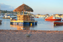 Tiki bar
