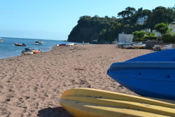 Shaldon Beach