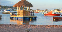 Tiki bar