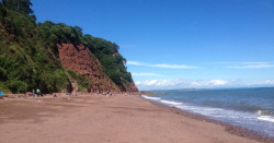 Ness Cove - Copy