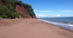 Ness Cove - Copy