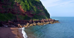 Maidencombe beach