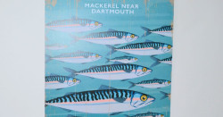 mackerel