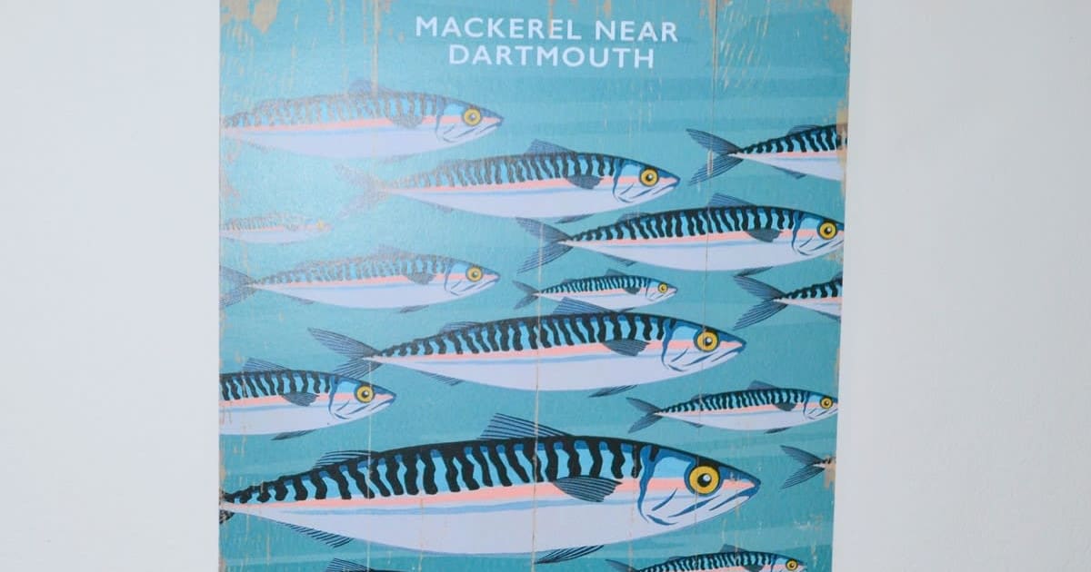 mackerel