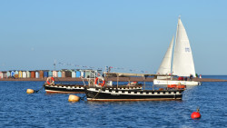 ferry and yatch ed