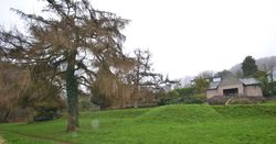 botanical gardens