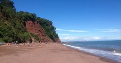 Ness Cove beach in Shaldon with red cliffs, sandy shore, and calm blue sea under a clear sky