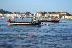 Shaldon and Teignmouth Ferries