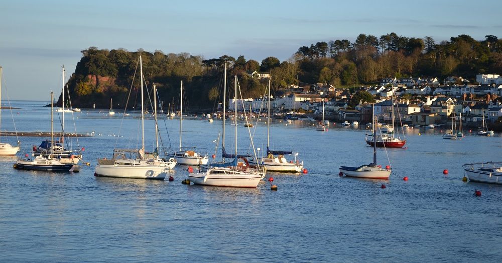 Yachts anchored on calm water near a coastal village with trees and houses in the background.