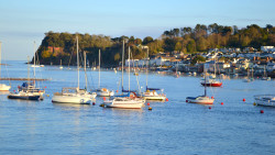 Ness and River Teign
