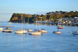 Ness and River Teign