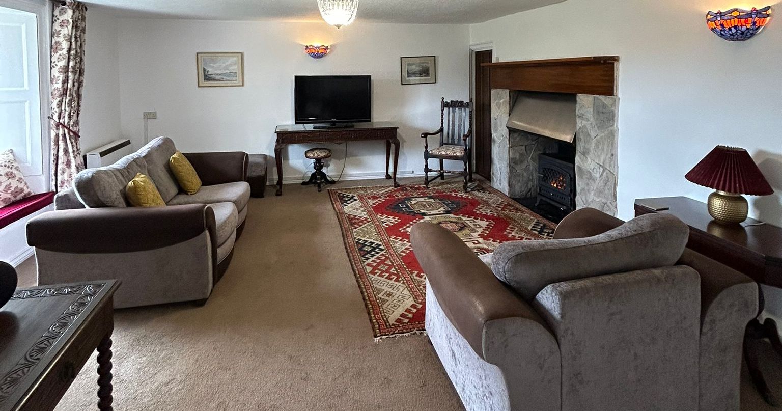 Spacious living room with two sofas, a red patterned rug, fireplace, and TV.