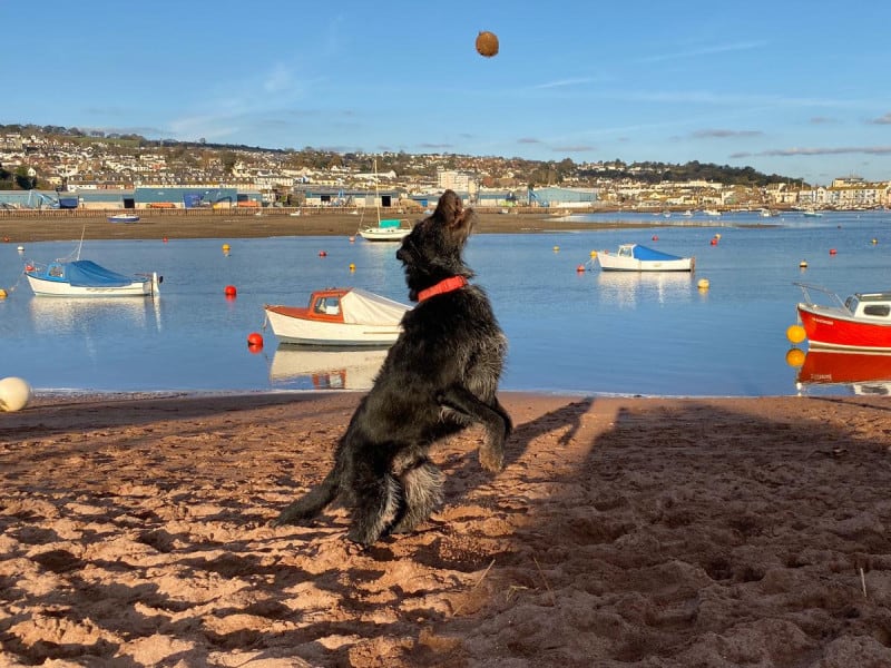 PHOTO-2019-11-18-14-20-23