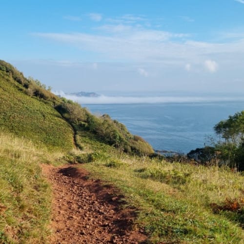 thumbnail_20211017_095259