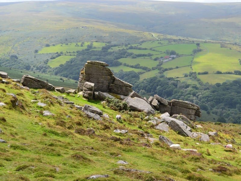 dartmoor (1)