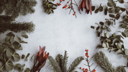 annie-spratt-VDXtVYJVj7A-unsplash