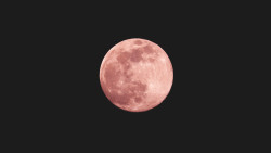 uomo-libero-QIpxyxWhlws-unsplash