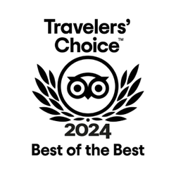 trip Advisor