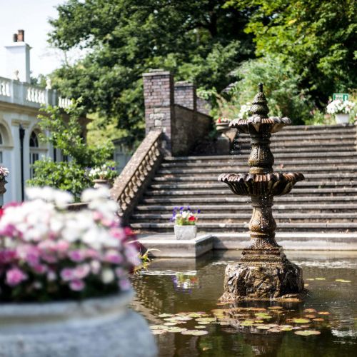 Outside garden area with stairs and fountain