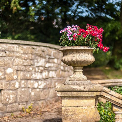 View of plant pot and stairs with pink and purple flowers