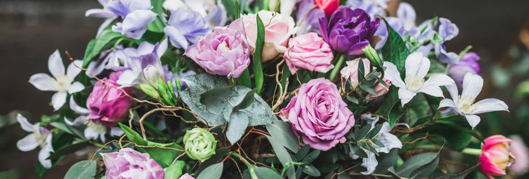 New Project - 2025-06-17T140841.551