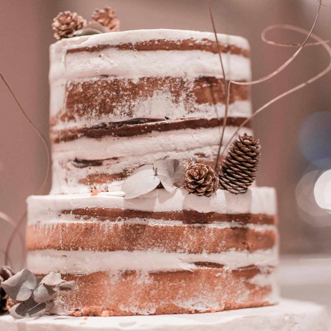 Rustic winter wedding cake with pinecones and white frosting