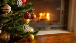Christmas Tree and Fire