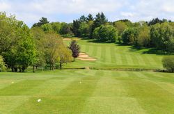 Golf course fairway with sand bunkers and trees